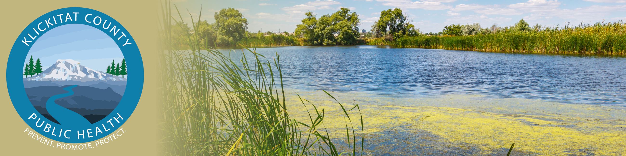 KCHD-Web-Header-algae