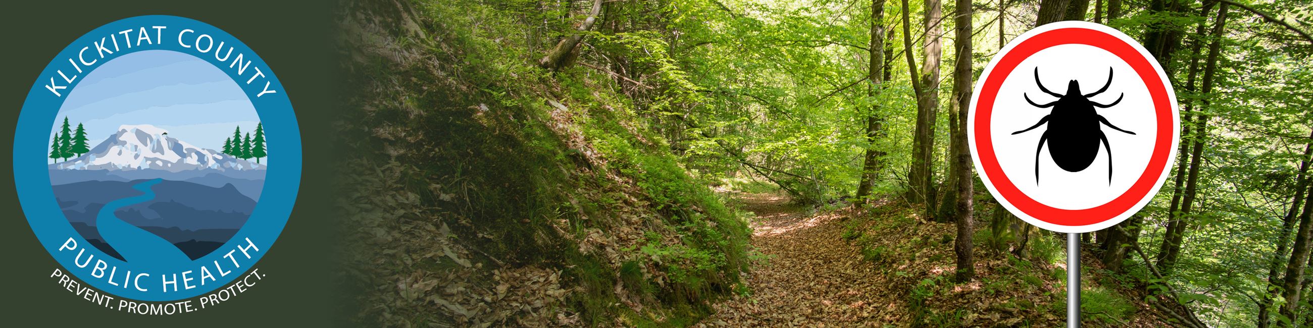 KCHD-Web-Header-vector