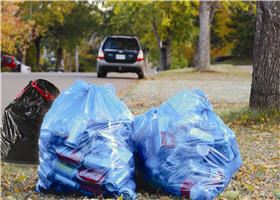 Recycling Bags at Curb