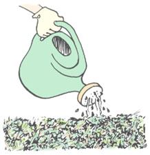 Clip art demonstrating Step 4 of constructing a compost pile.