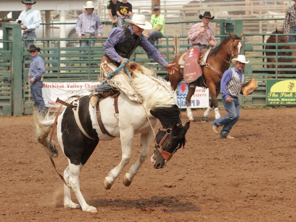 A man rides a bucking horse during the 2015 Klickitat County Fair Rodeo.