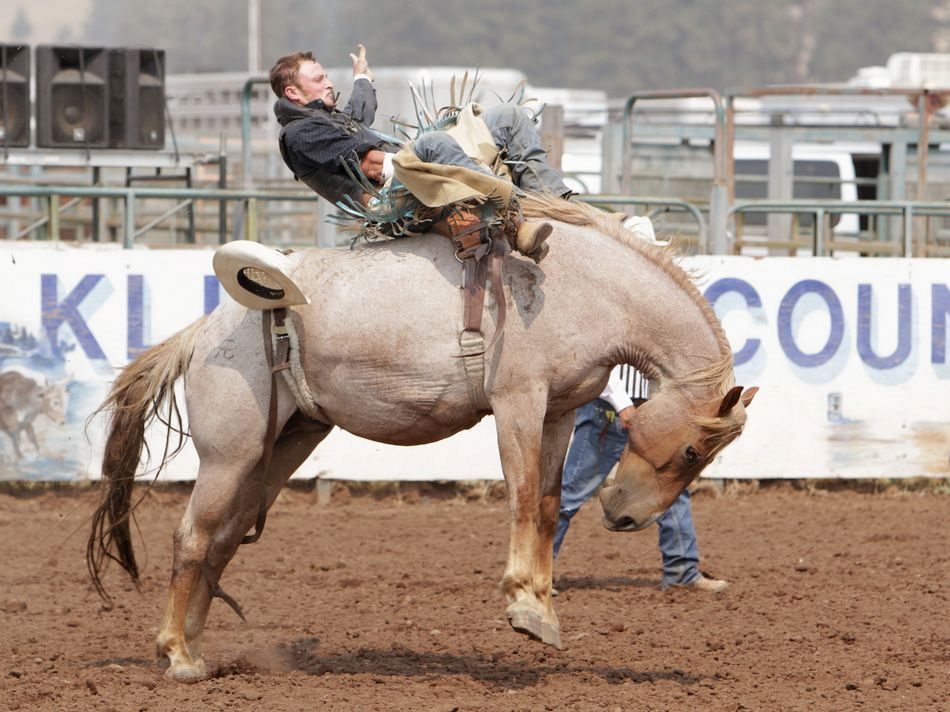 A man loses his hat riding a bucking horse at the 2015 Klickitat County Fair Rodeo.
