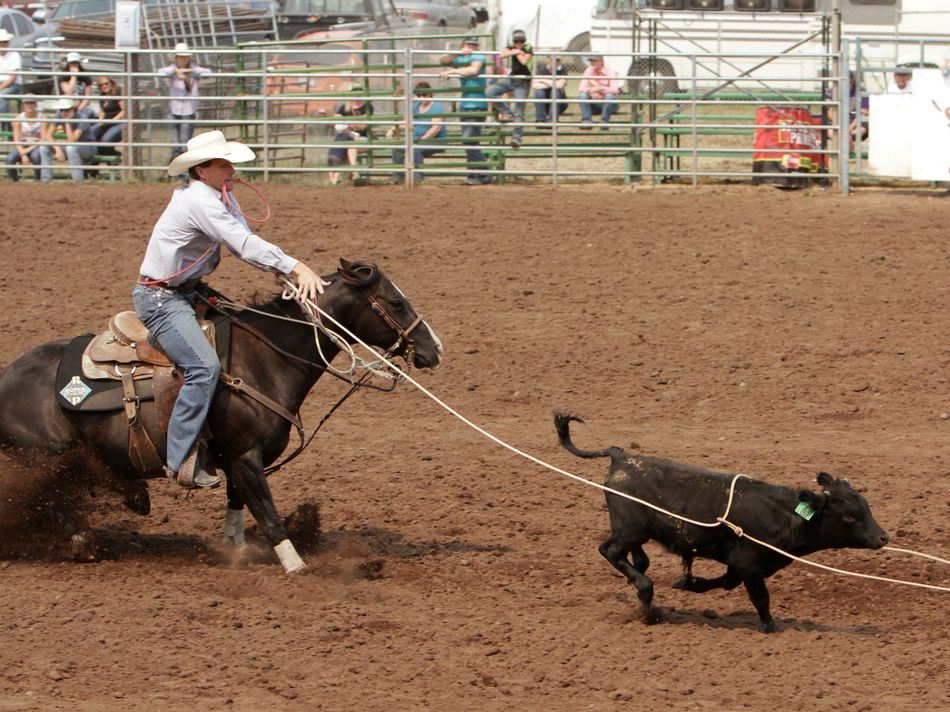 A man lassos a calf during the 2015 Klickitat County Fair Rodeo.