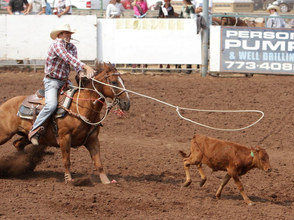 A man throws a lasso at the 2015 Klickitat County Fair Rodeo.