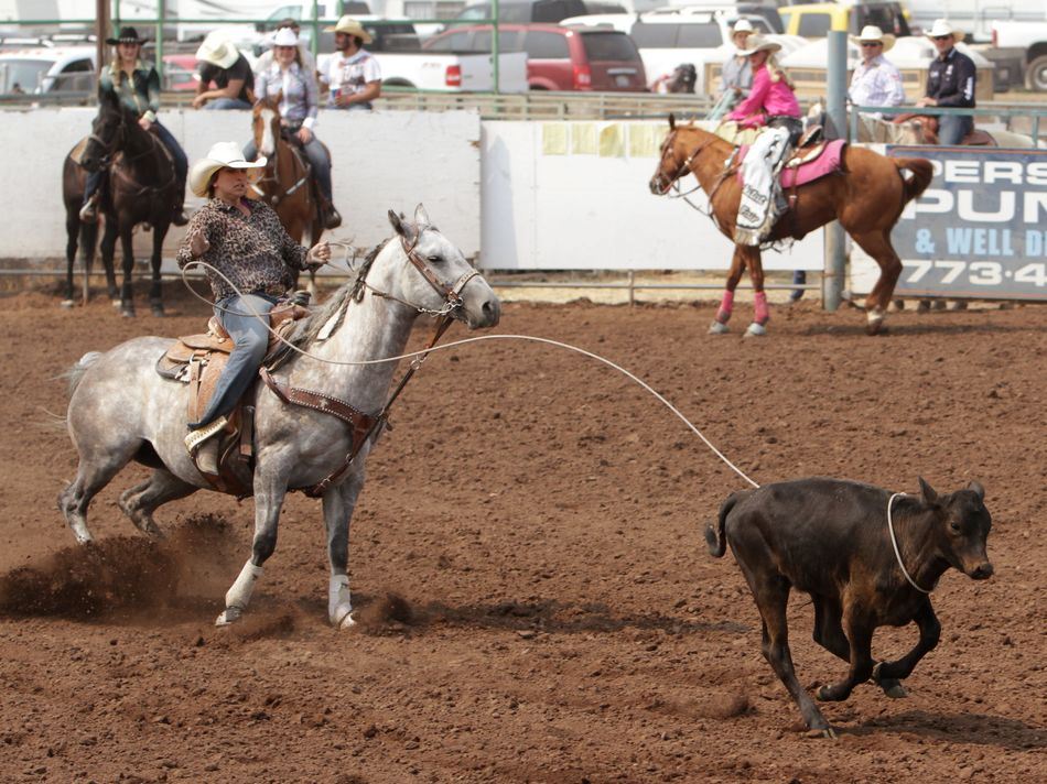 A woman successfully lassos a calf during the 2015 Klickitat County Fair Rodeo.