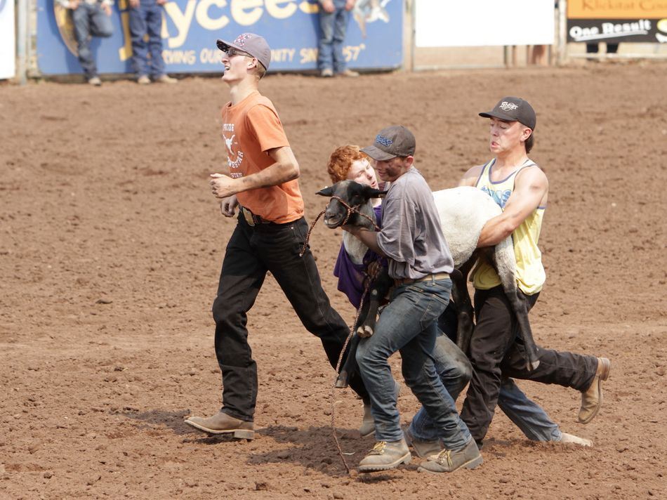 A team of boys finally lift up their sheep to get it to the finish line.