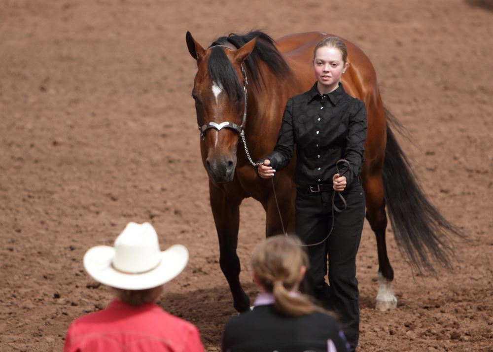 A young woman walks next to her horse in the arena at the 2014 Klickitat County Fair.