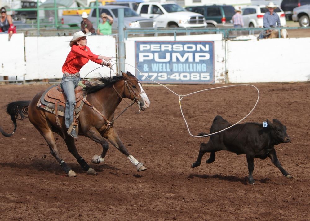 A woman throws a lasso toward a running  calf in the arena at the 2014 Klickitat County Fair.