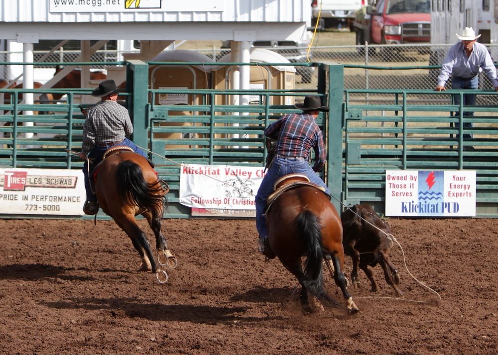 Two men work together to lasso a calf in the arena at the 2014 Klickitat County Fair.