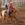 Woman rides her horse in the arena at the 2014 Klickitat County Fair.