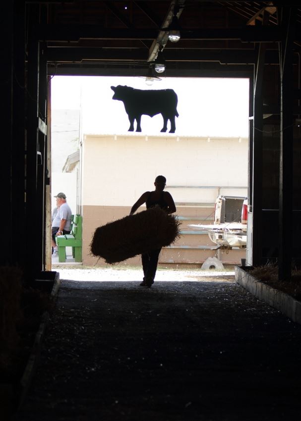 The silhouette of a young man carrying a bail of hay.