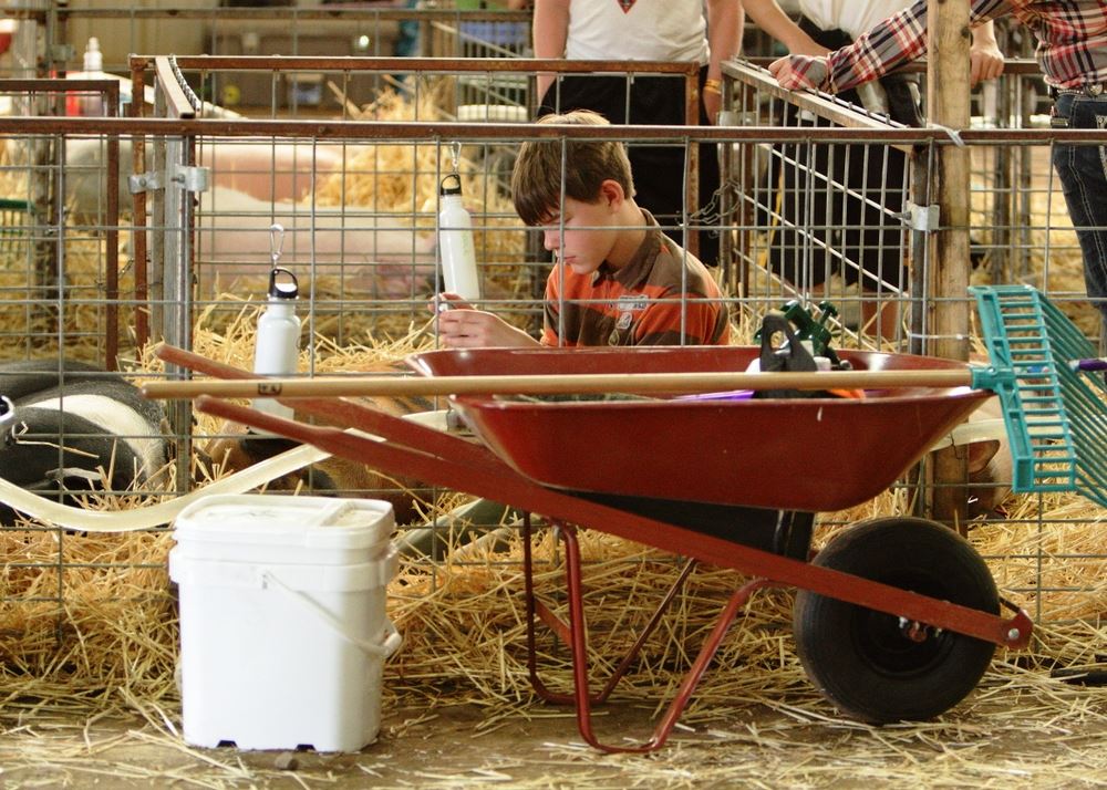 A boy sits in his pig pen at the 2014 Klickitat County Fair.