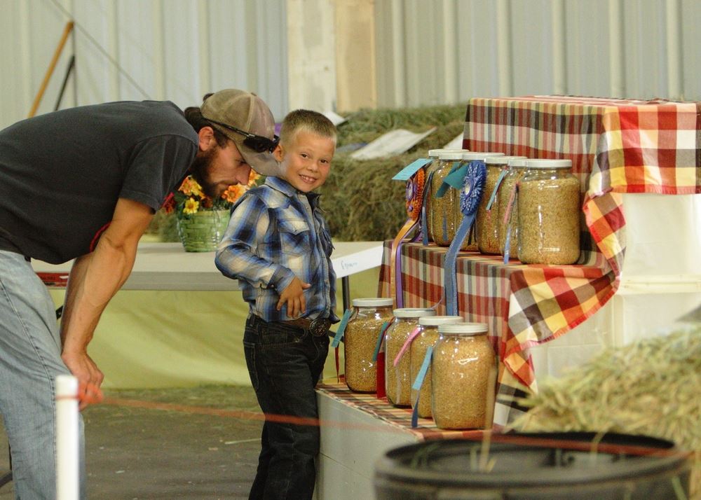 A little boy and man stand next to a grain display at the 2014 Klickitat County Fair.