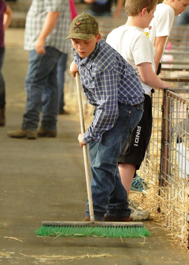 A boy sweeps up around the animal pens in a barn at the 2014 Klickitat County Fair.