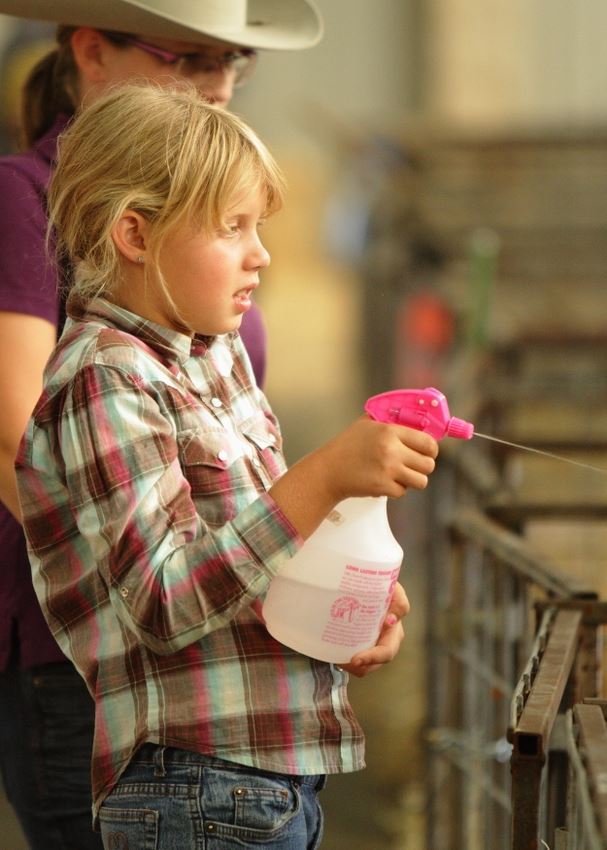 A girl sprays a spray bottle into an animal pen at the 2014 Klickitat County Fair.