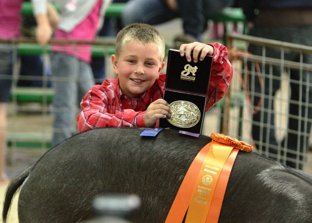 A boy holds his awarded belt buckle for his show pig at the 2014 Klickitat County Fair.