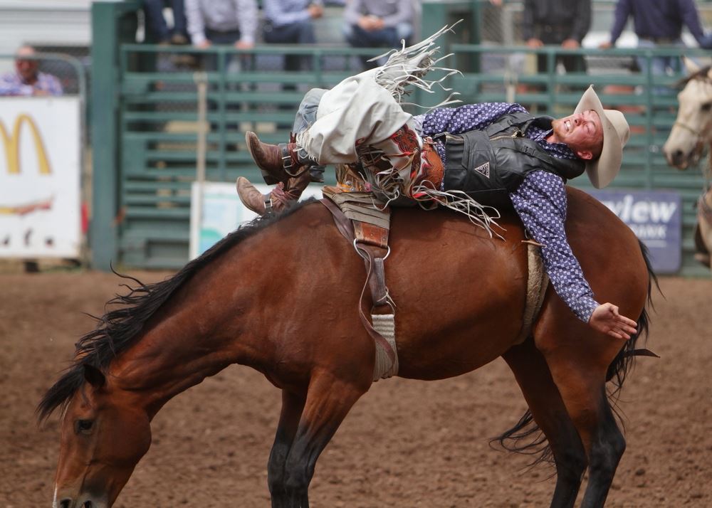 A man is flung backward while riding a bucking horse at the 2014 Klickitat County Fair Rodeo.