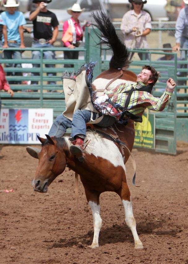 A man rides a bucking horse at the 2014 Klickitat County Fair Rodeo.