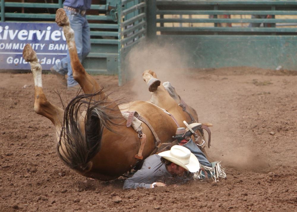 A man is nearly crushed as his horse falls over during the 2014 Klickitat County Fair Rodeo.