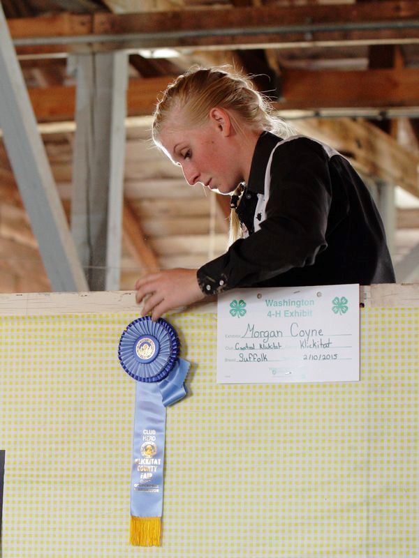 A girl is pictured standing next to her blue ribbon at the 2015 Klickitat County Fair.