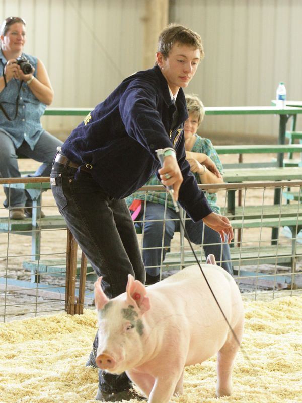 Young man shows a pink pig.