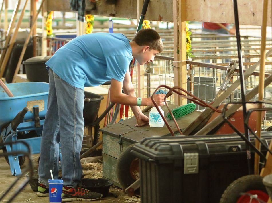 Boy squirts a spray bottle in a pen.