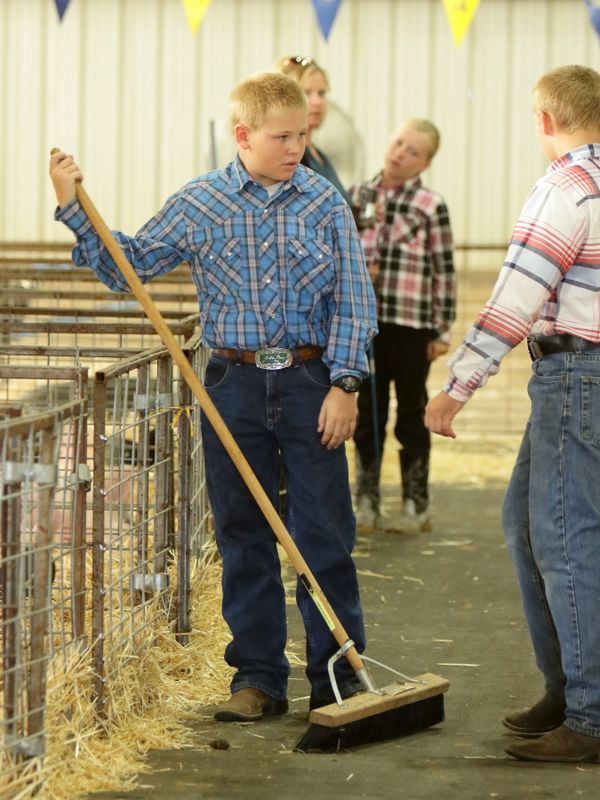 Boy sweeps up the animal barn pen area.
