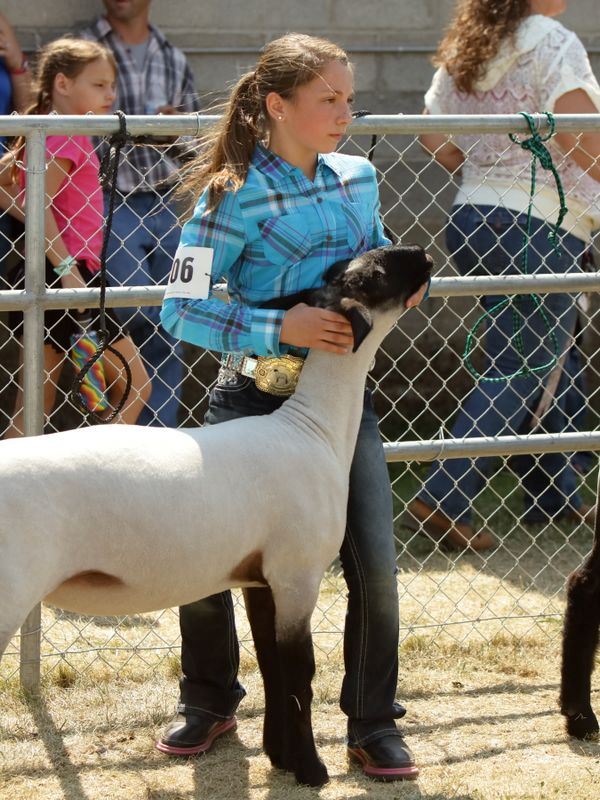 A young girl stands next to her sheep during the 2015 Klickitat County Fair.