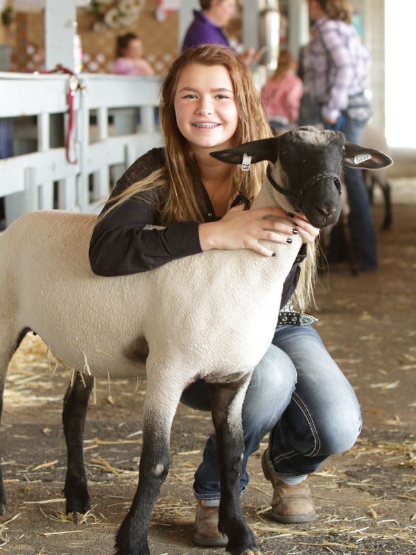 A girl kneels down next to her sheep at the Klickitat County Fair.