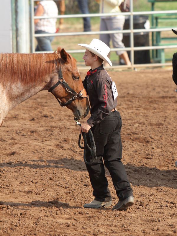A young man holds his horse by the bridle at the 2015 Klickitat County Fair.
