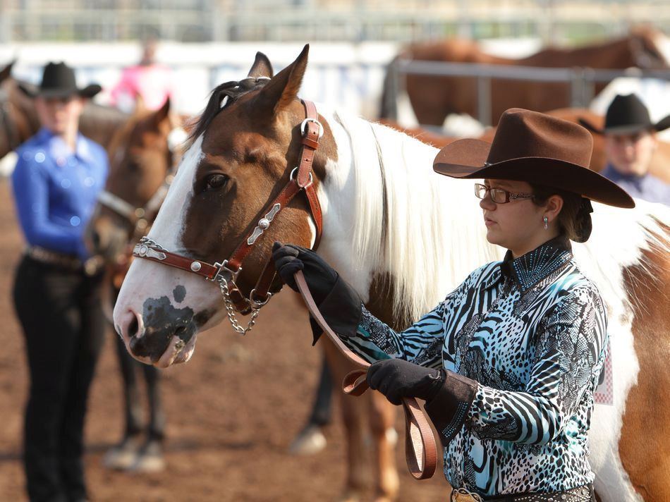 A young woman stands next to her horse at the 2015 Klickitat County Fair.