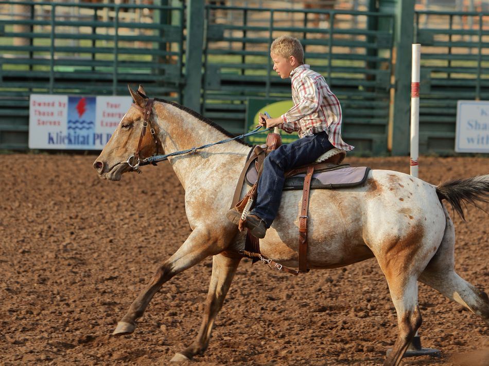 Little boy runs his horse at the 2015 Klickitat County Fair.
