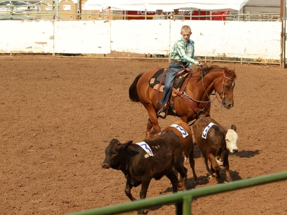 A young man herds calves on his horse at the 2015 Klickitat County Fair.
