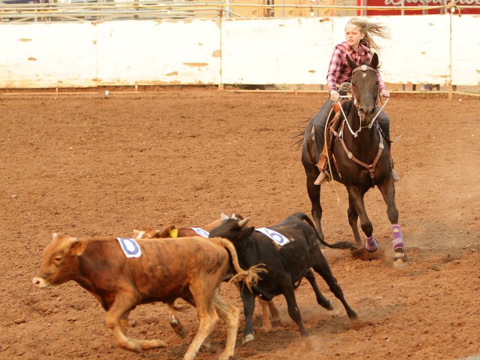A young girl herds calves on her horse at the 2015 Klickitat County Fair.