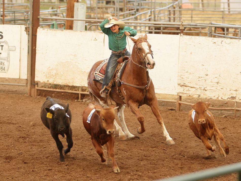 A boy herds cattle on his horse at the 2015 Klickitat County Fair.